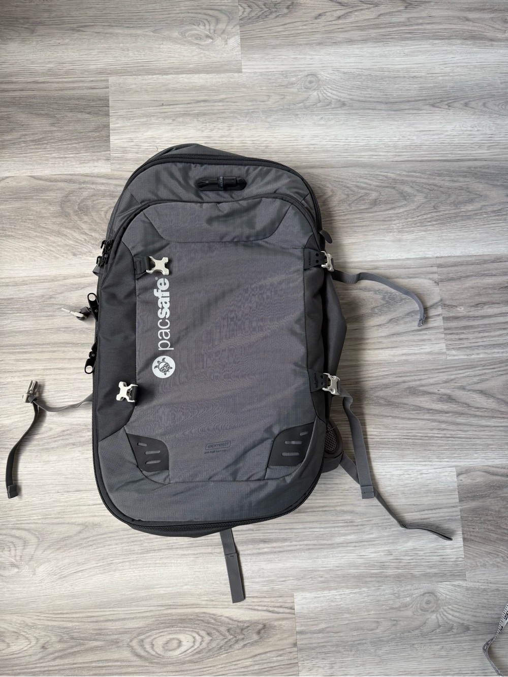 Pacsafe Gray Anti-Theft Everyday Backpack